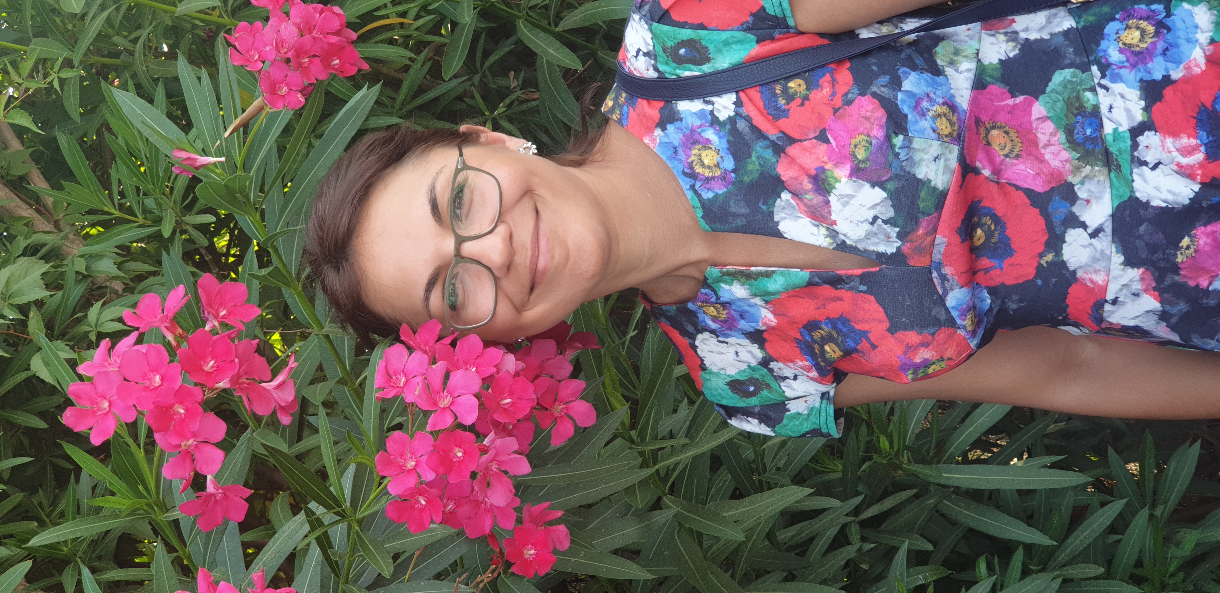 Andon Marina Andrada